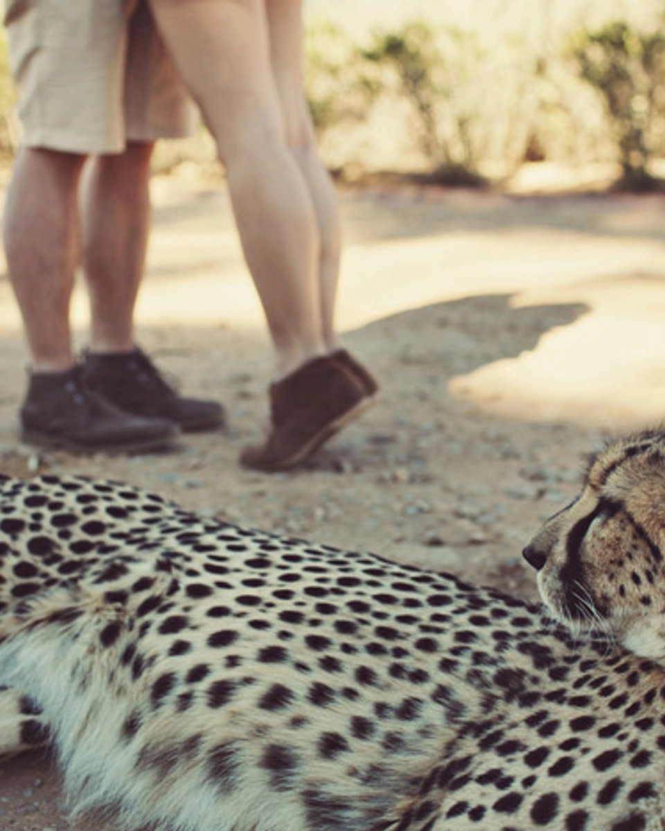 10 Alternative Bridal Portrait Ideas for the Wild at Heart
