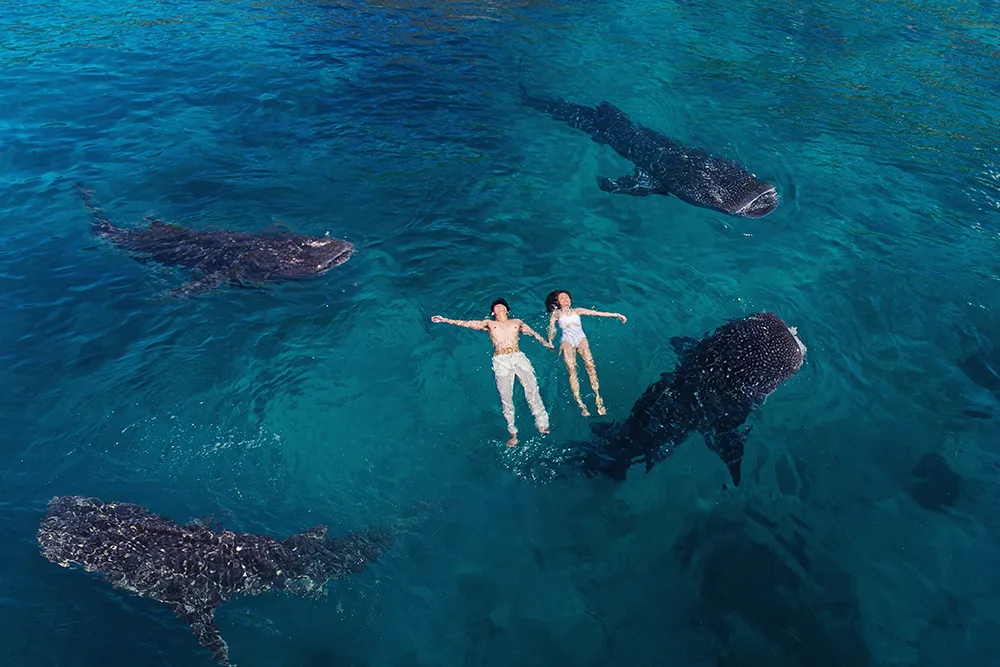 Photo by Metrophoto. theweddingnotebook.com