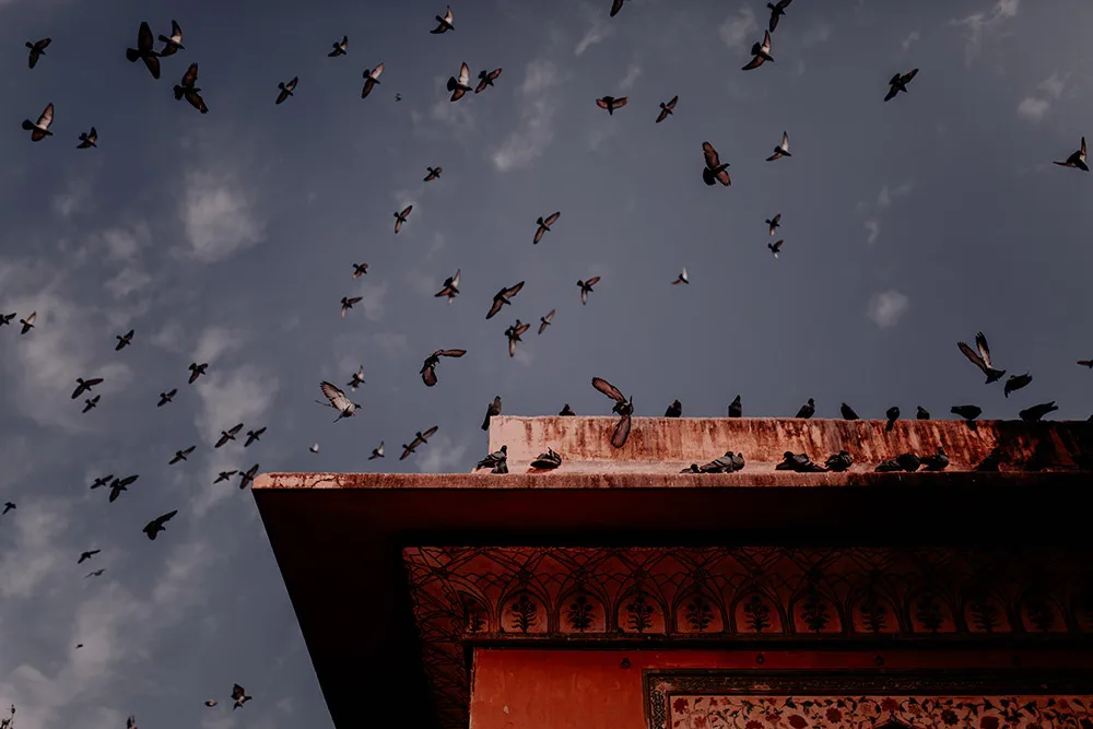 Jessie Lee Photography. theweddingnotebook.com