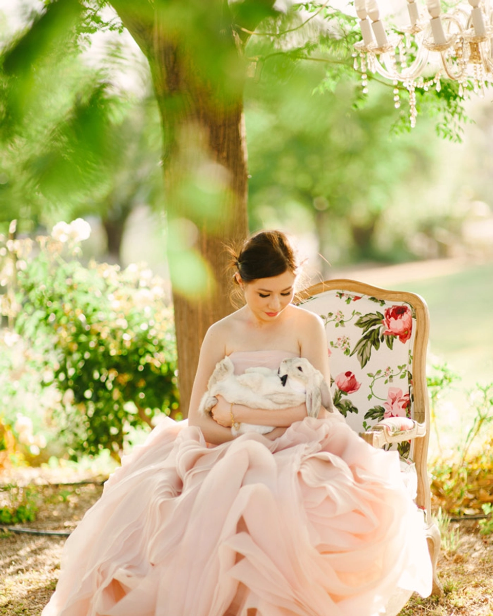 A Blush Pink Vera Wang Gown, With Tea And A Bunny