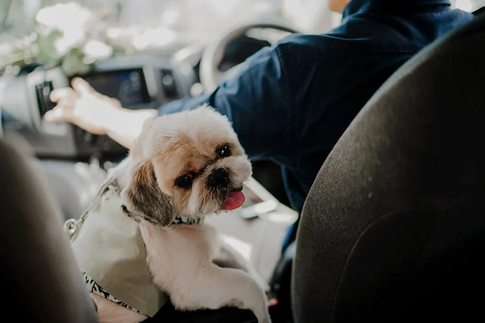 Bloc Memoire Photography. theweddingnotebook.com