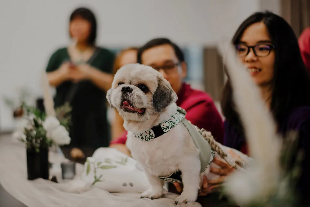 Bloc Memoire Photography. theweddingnotebook.com