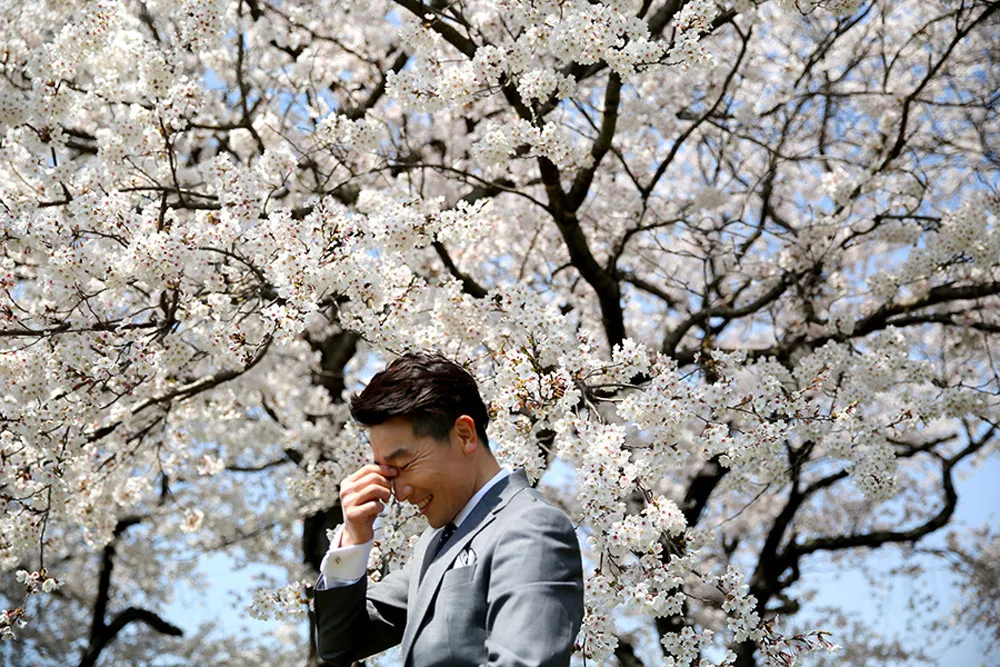 Photo DIY Bridal Portraits In Seoul. theweddingnotebook.com