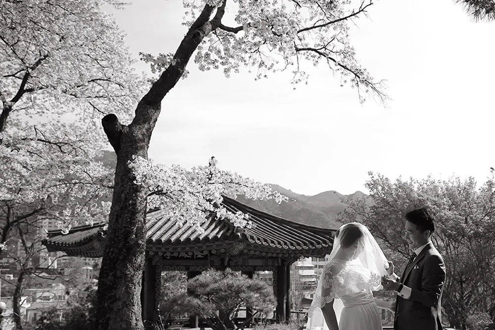 Photo DIY Bridal Portraits In Seoul. theweddingnotebook.com