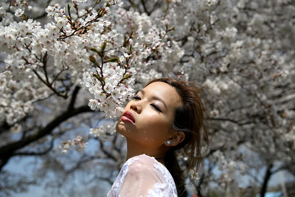 Photo DIY Bridal Portraits In Seoul. theweddingnotebook.com