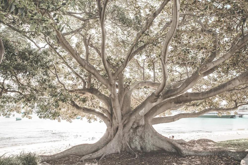 Photo by Angela Rose Photography. theweddingnotebook.com