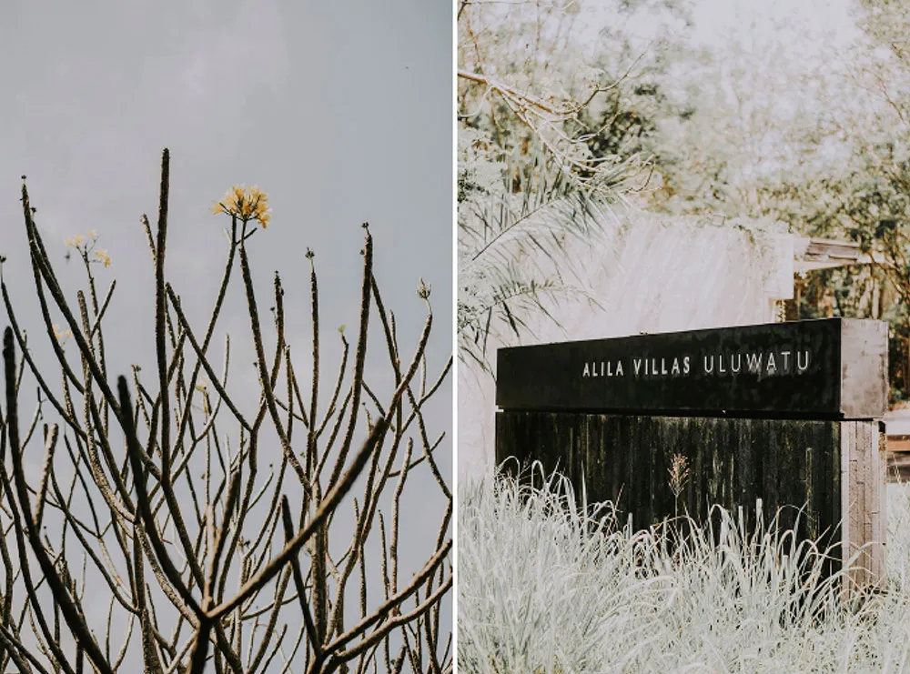 Photo by Diktatphotography. theweddingnotebook.com