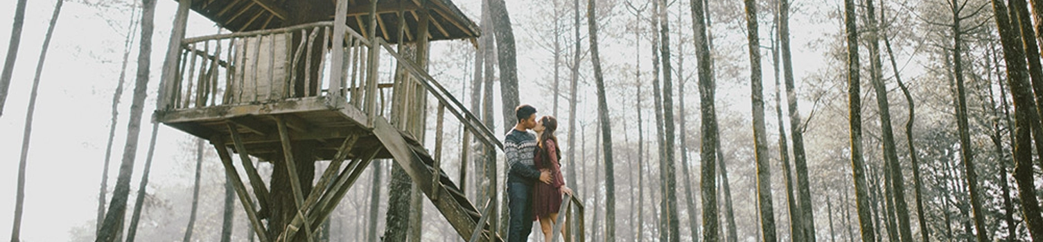 A Forest Fairytale In Bandung