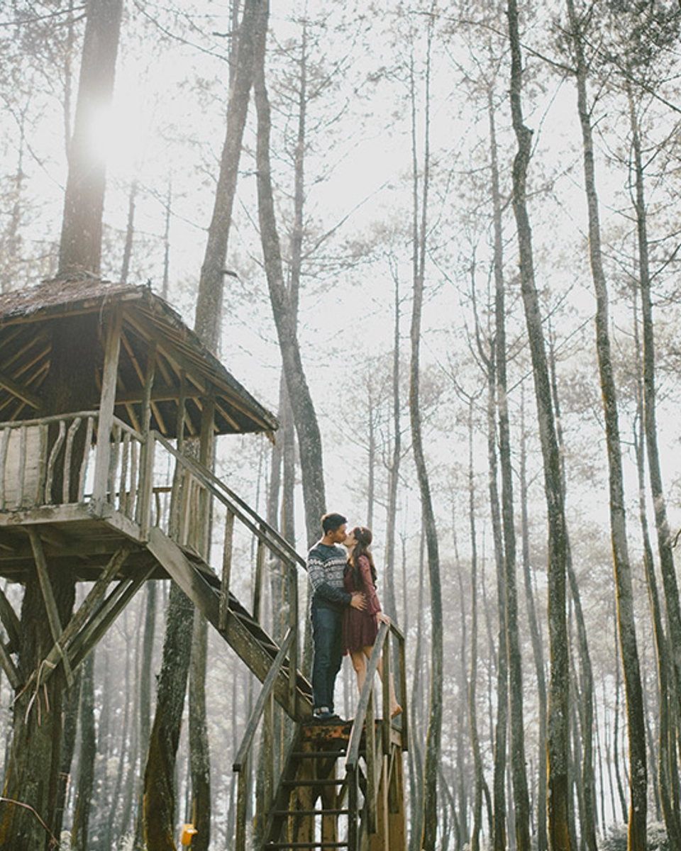 A Forest Fairytale In Bandung