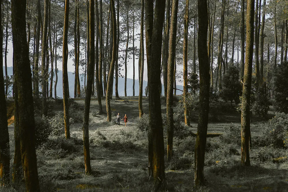 Springworks Photography. theweddingnotebook.com