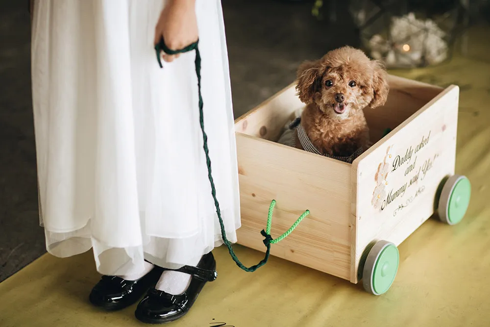 Photo by Arch and Vow. theweddingnotebook.com