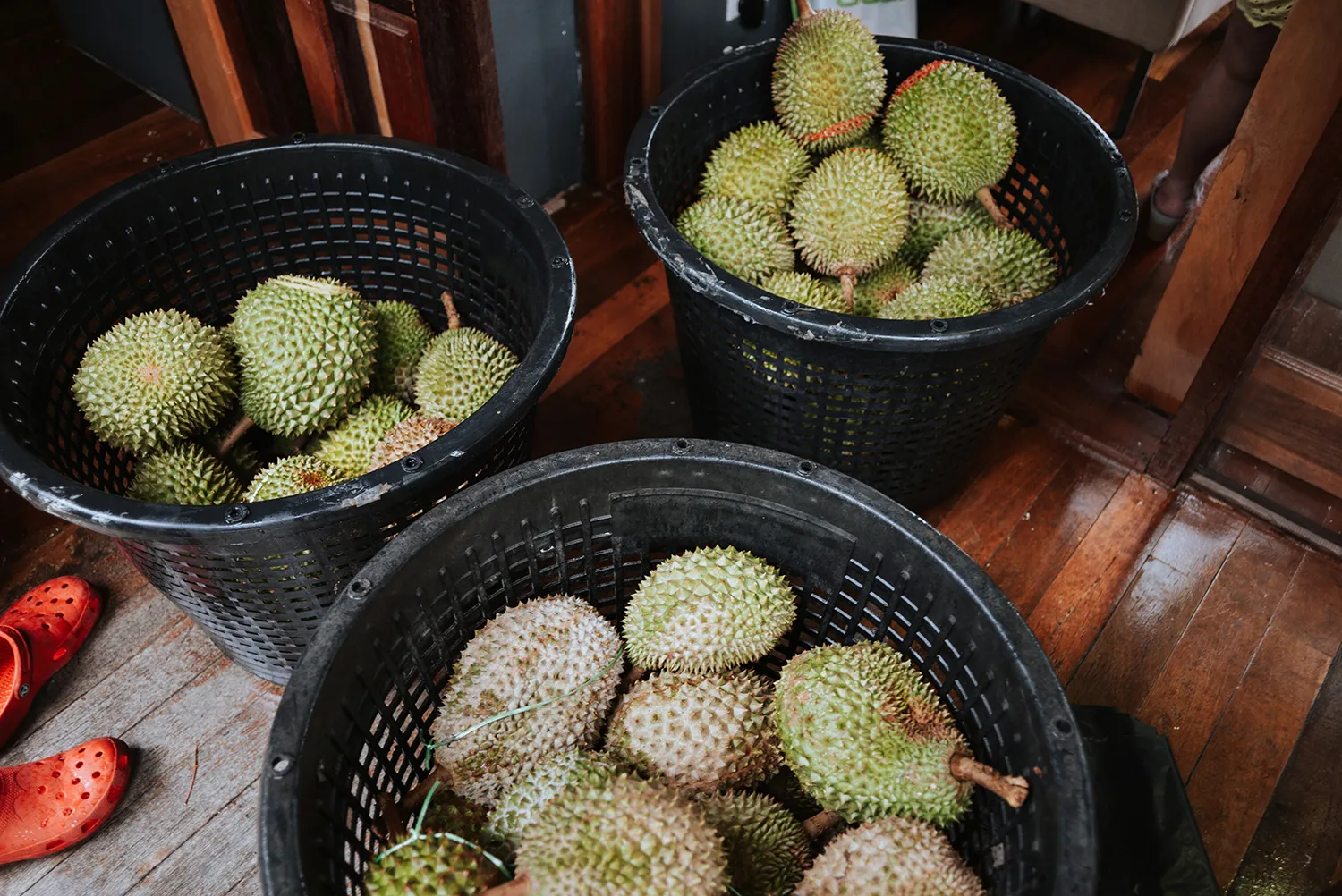 Munkeat Photography. theweddingnotebook.com