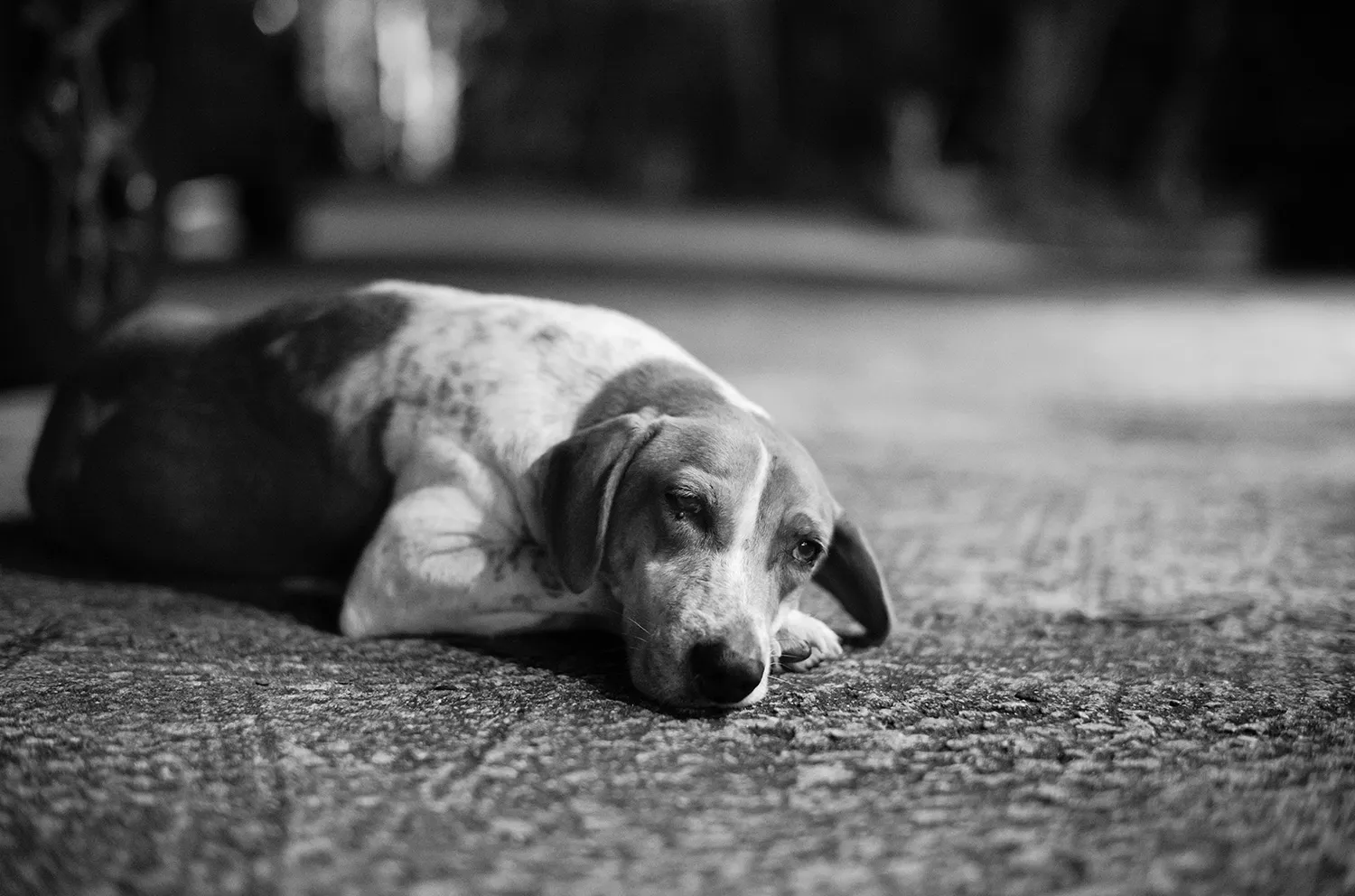 Munkeat Photography. theweddingnotebook.com