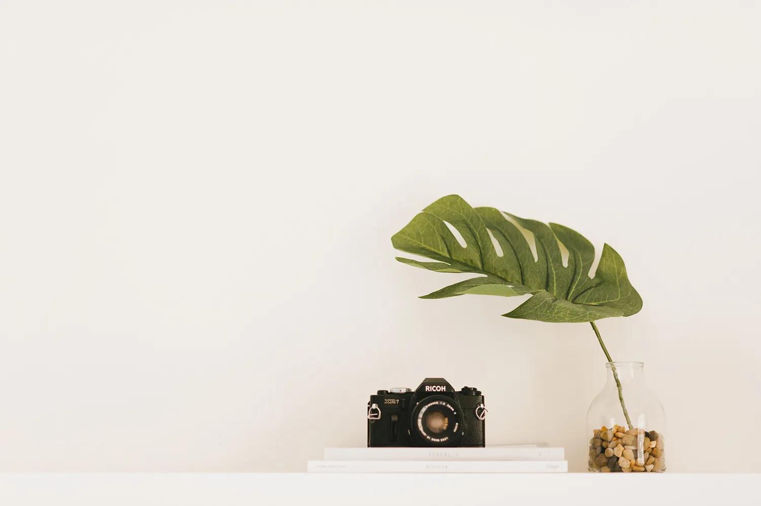 Joshua Koh Photography. theweddingnotebook.com