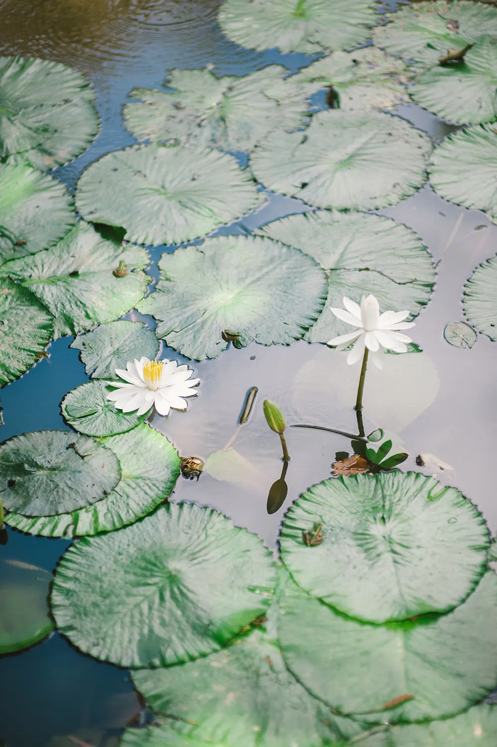 Photo by Munkeat Photography. theweddingnotebook.com