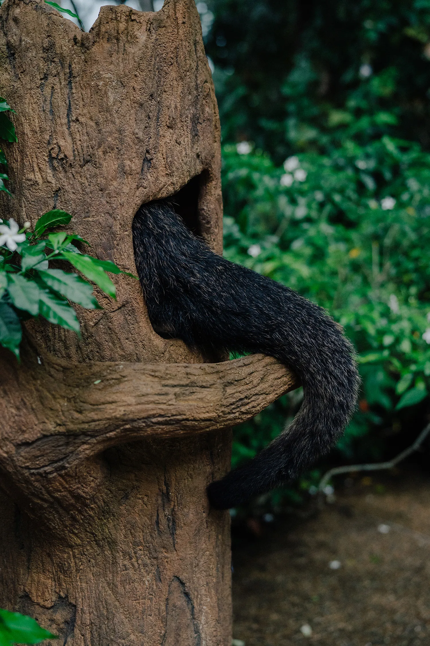 Leslie Photography. theweddingnotebook.com