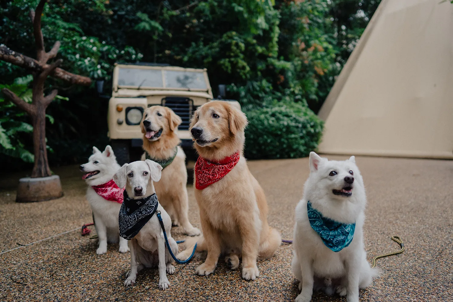 Leslie Photography. theweddingnotebook.com