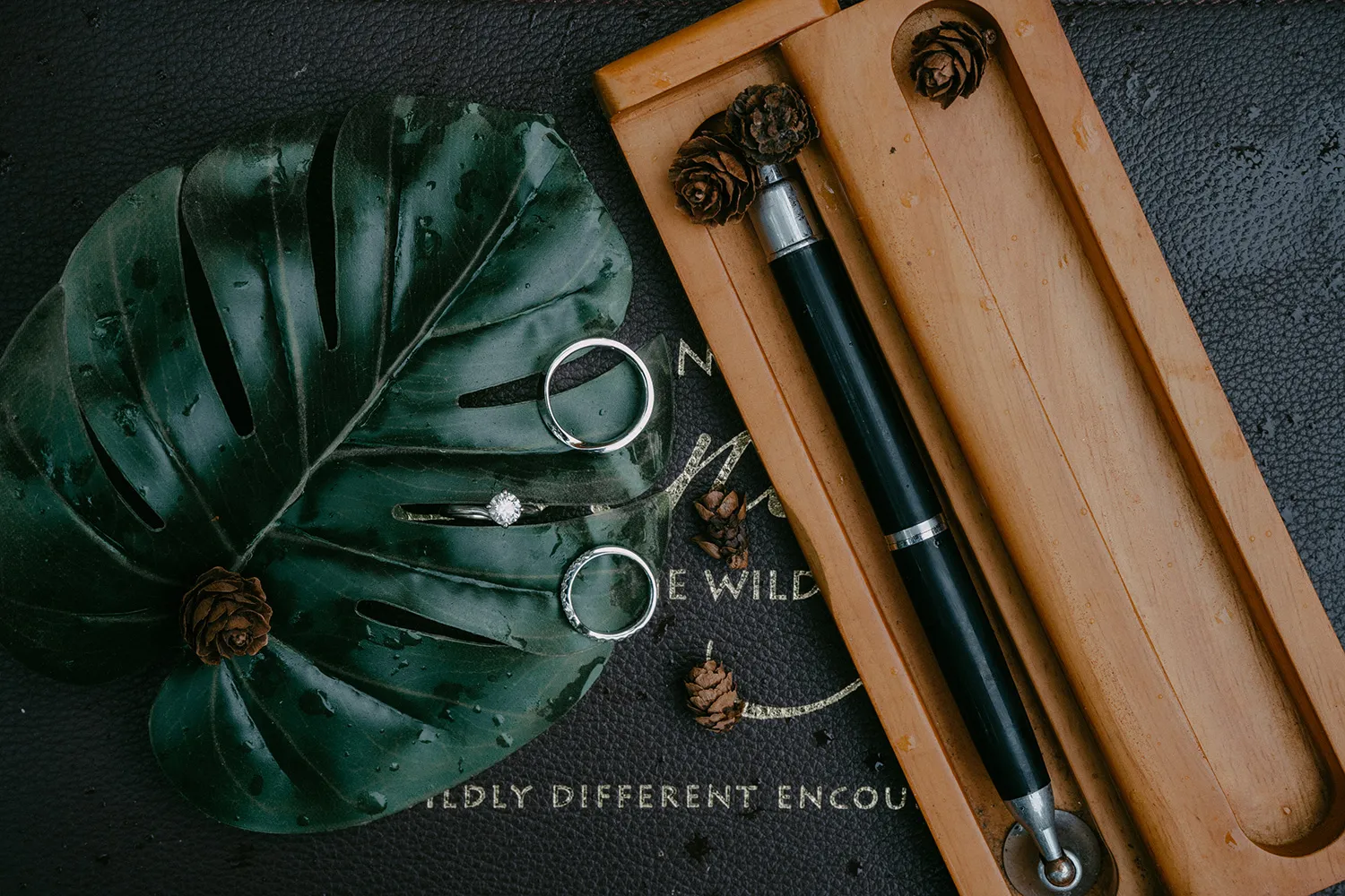 Leslie Photography. theweddingnotebook.com