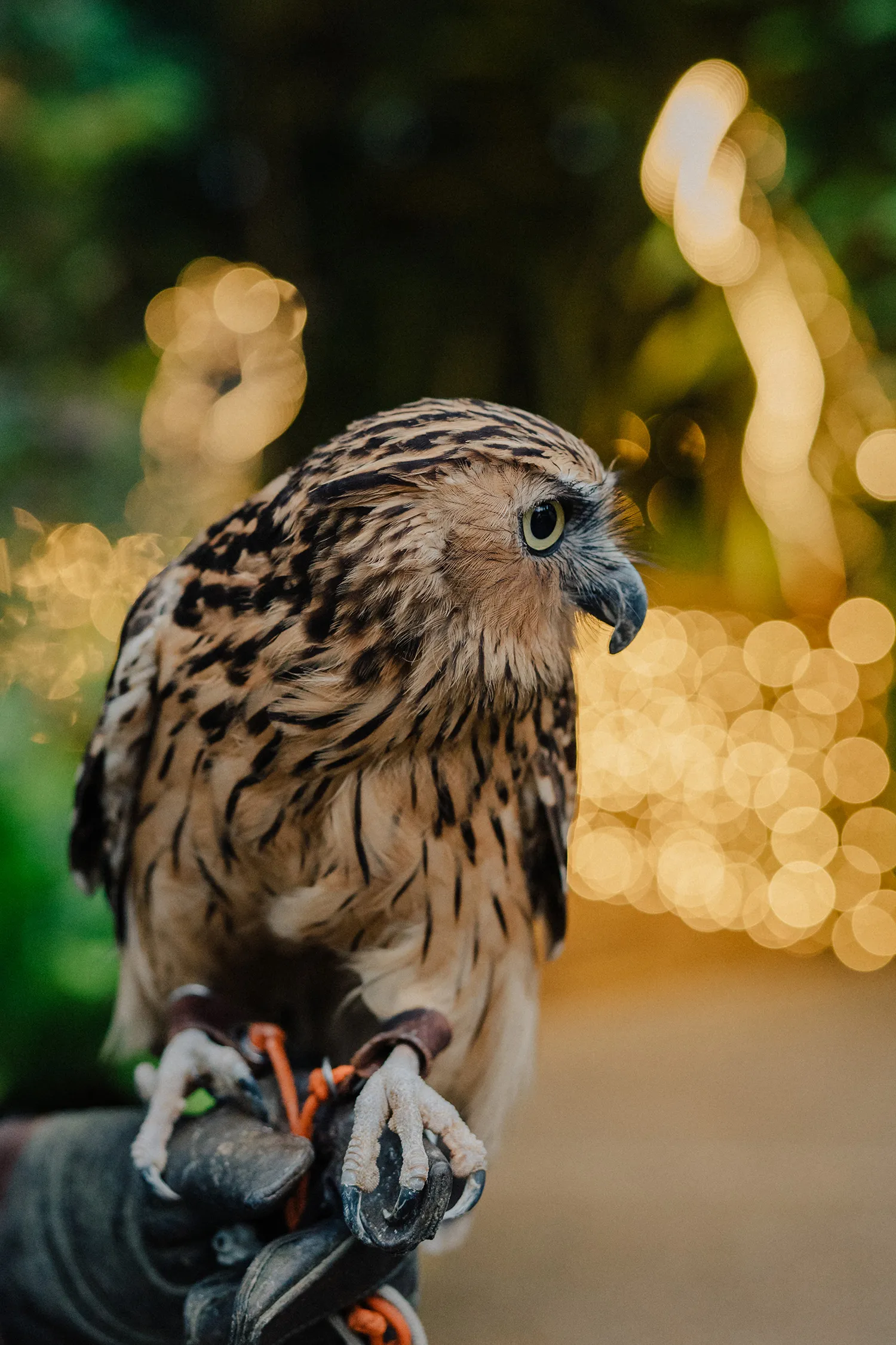 Leslie Photography. theweddingnotebook.com