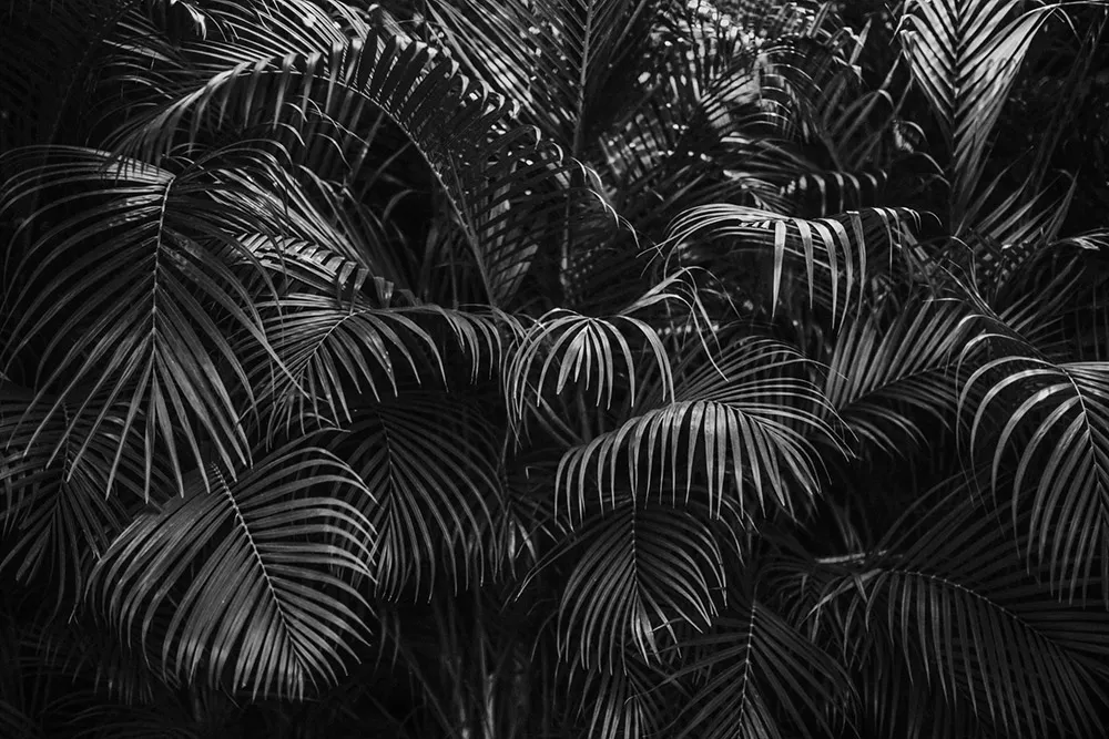 Photo by Iluminen. theweddingnotebook.com