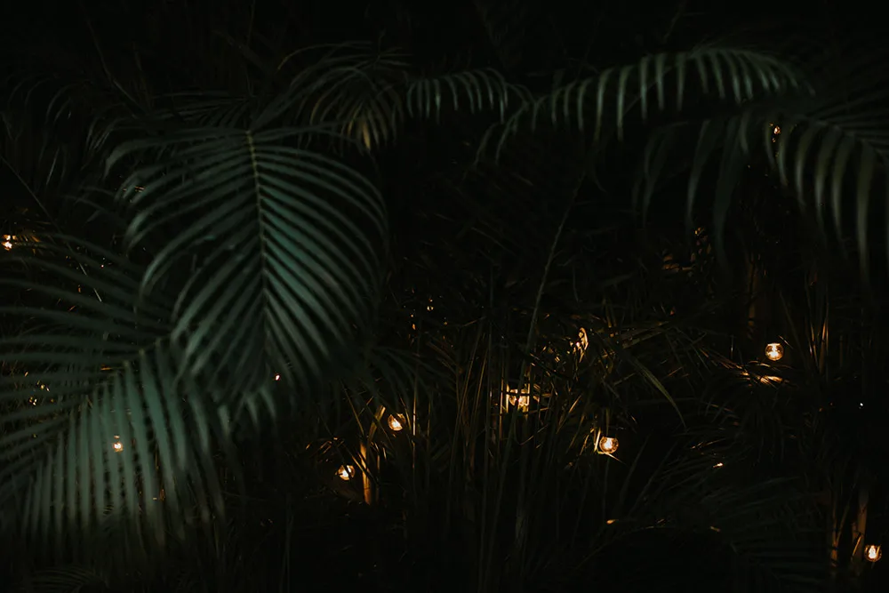 Photo by Iluminen. theweddingnotebook.com