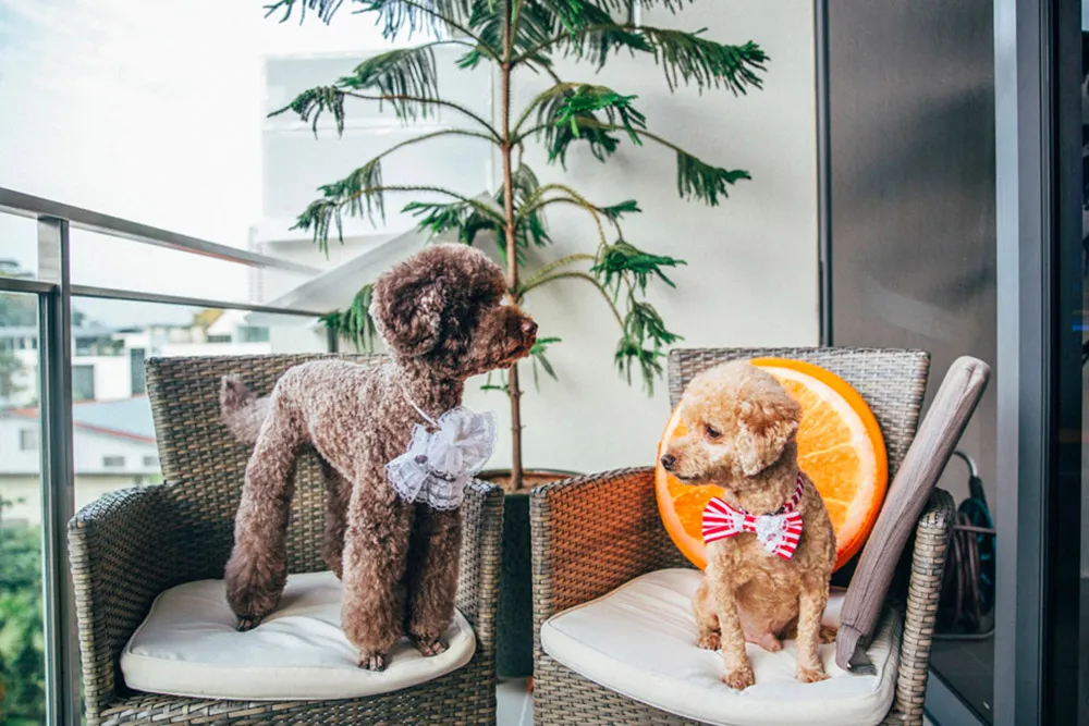 Photo by AndroidsinBoots Photography. theweddingnotebook.com