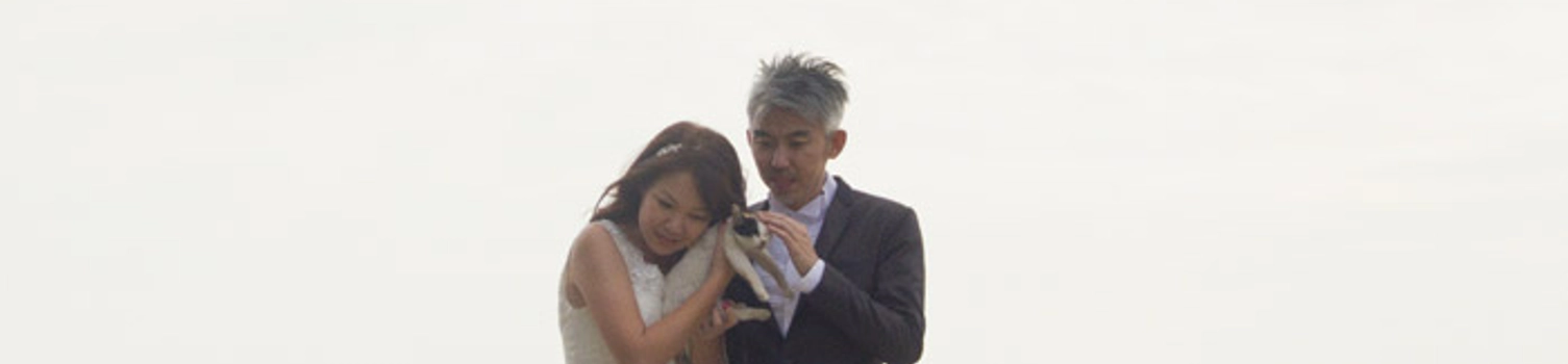 A Set Of GIFs As An Alternative To Bridal Portraits