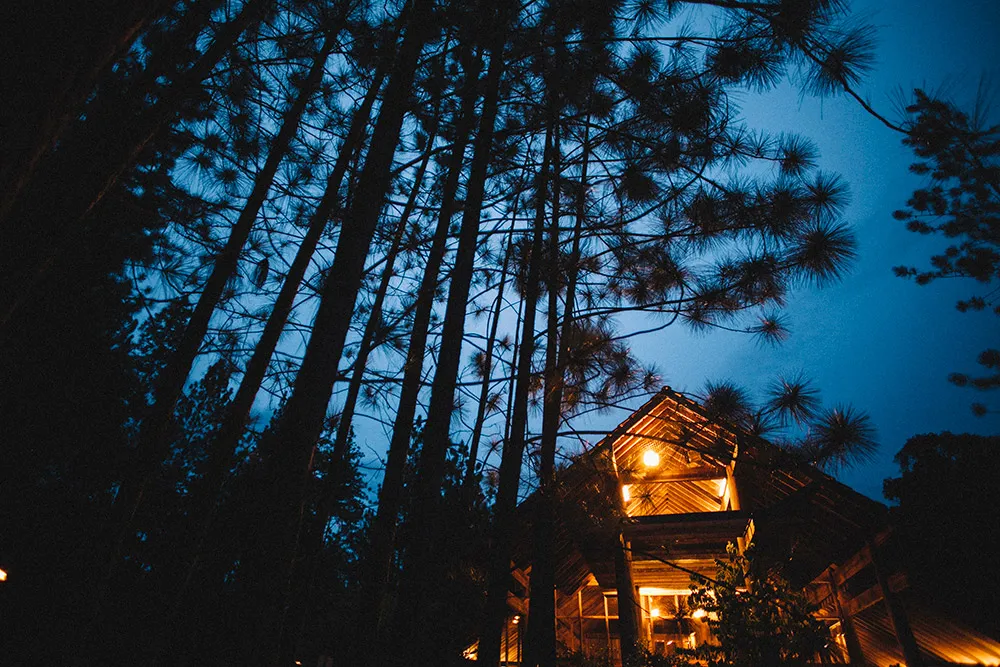 Photo by Shepherd Portraiture. theweddingnotebook.com