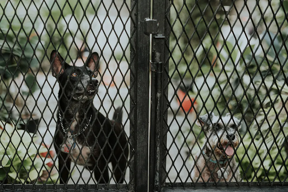 Photo by Jasmine A Photography. theweddingnotebook.com