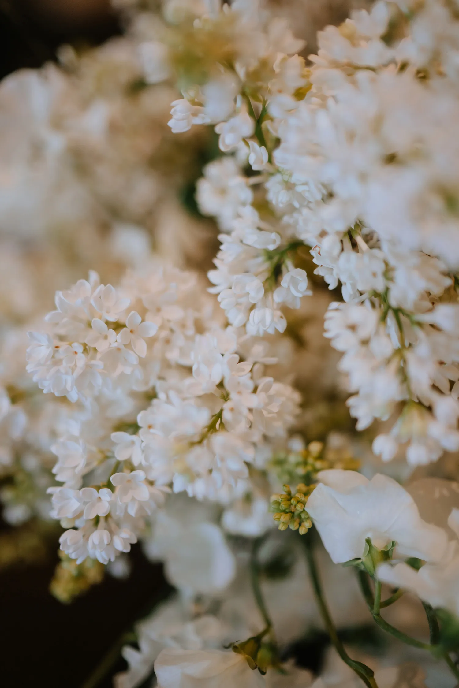 Bloc Memoire Photography. theweddingnotebook.com