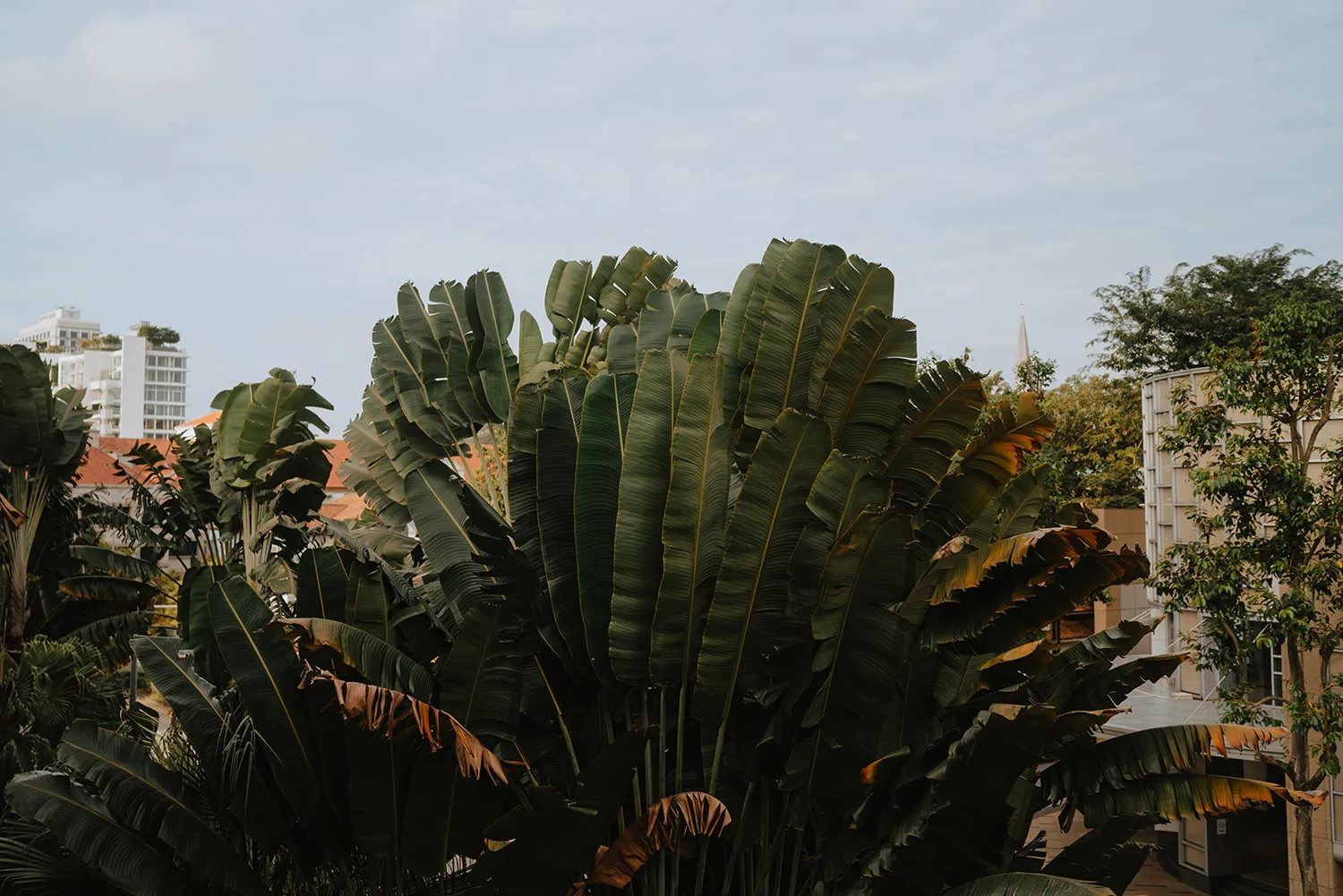 Bloc Memoire Photography. theweddingnotebook.com