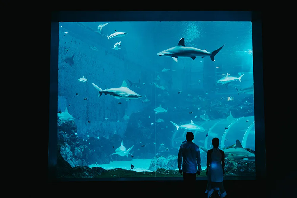 Photo by Terralogical. theweddingnotebook.com