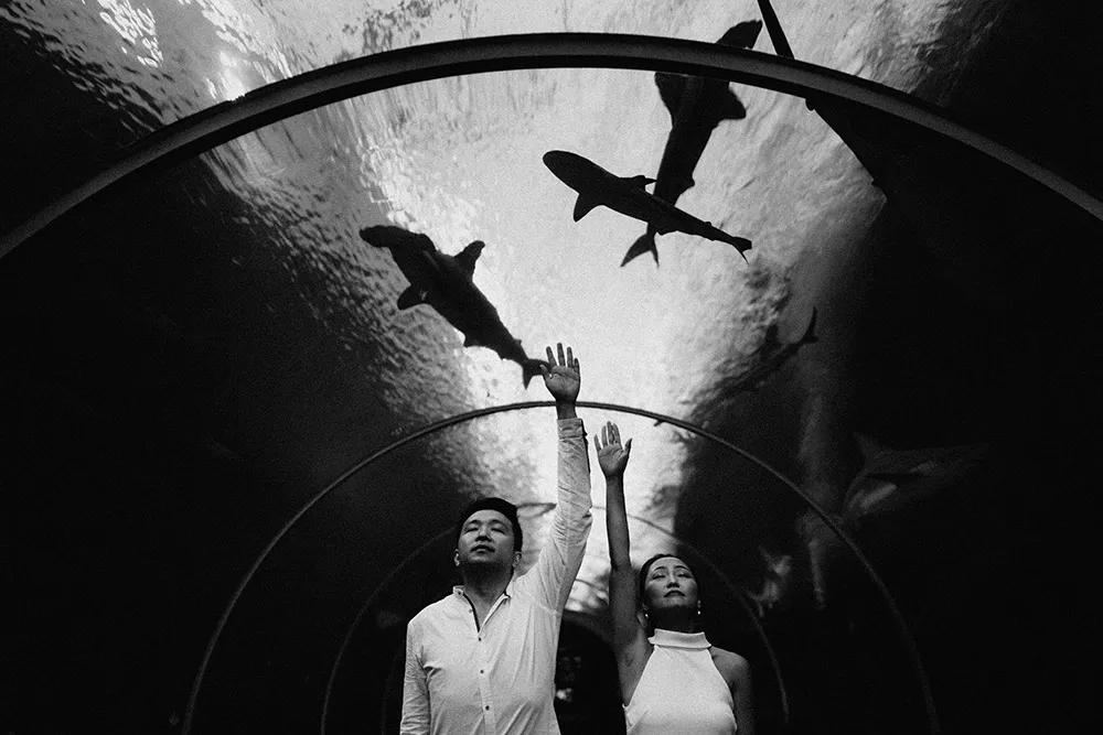 Photo by Terralogical. theweddingnotebook.com