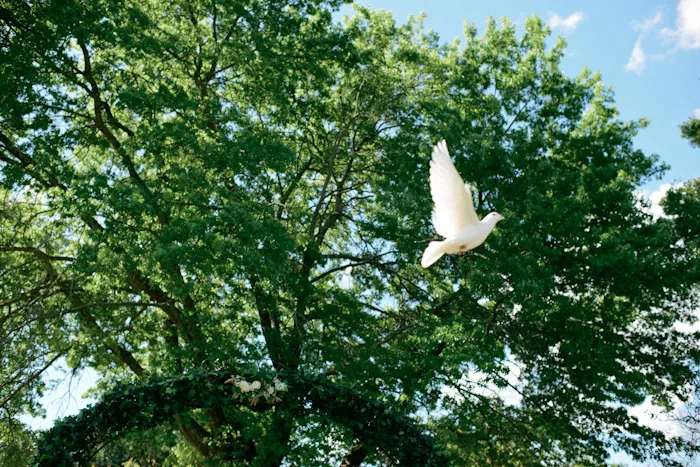 Tealily Photography. theweddingnotebook.com