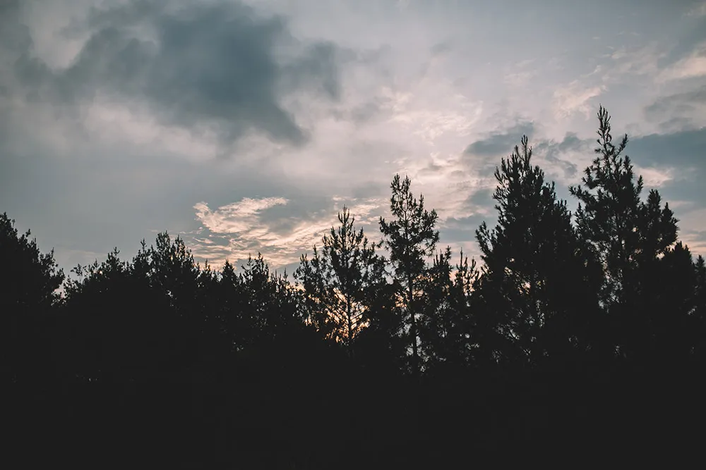 Photo by Fire, Wood and Earth Photography. theweddingnotebook.com