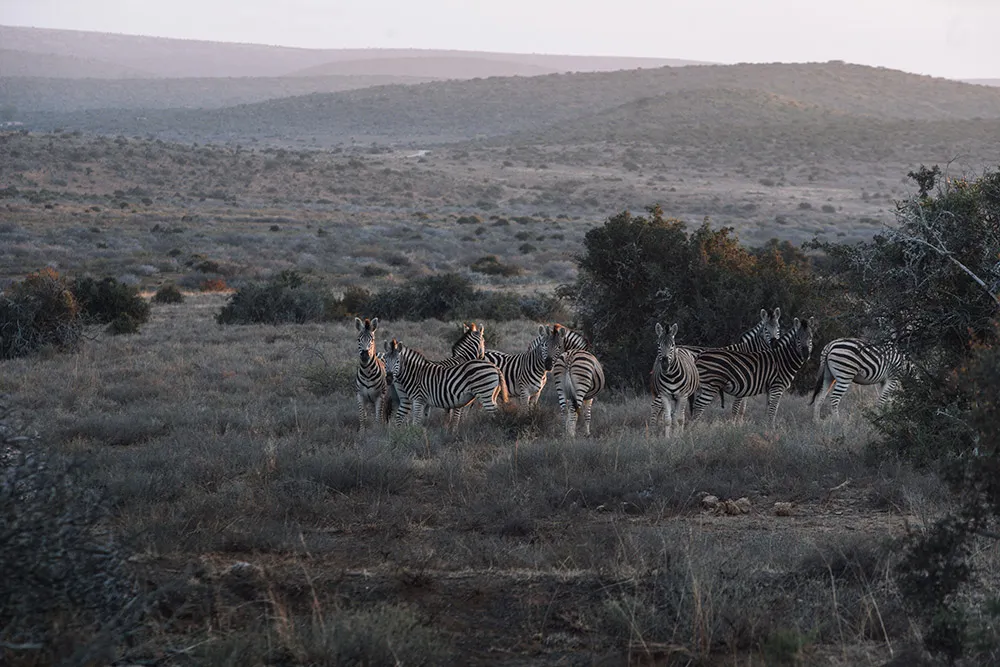 Photo by Metrophoto. theweddingnotebook.com