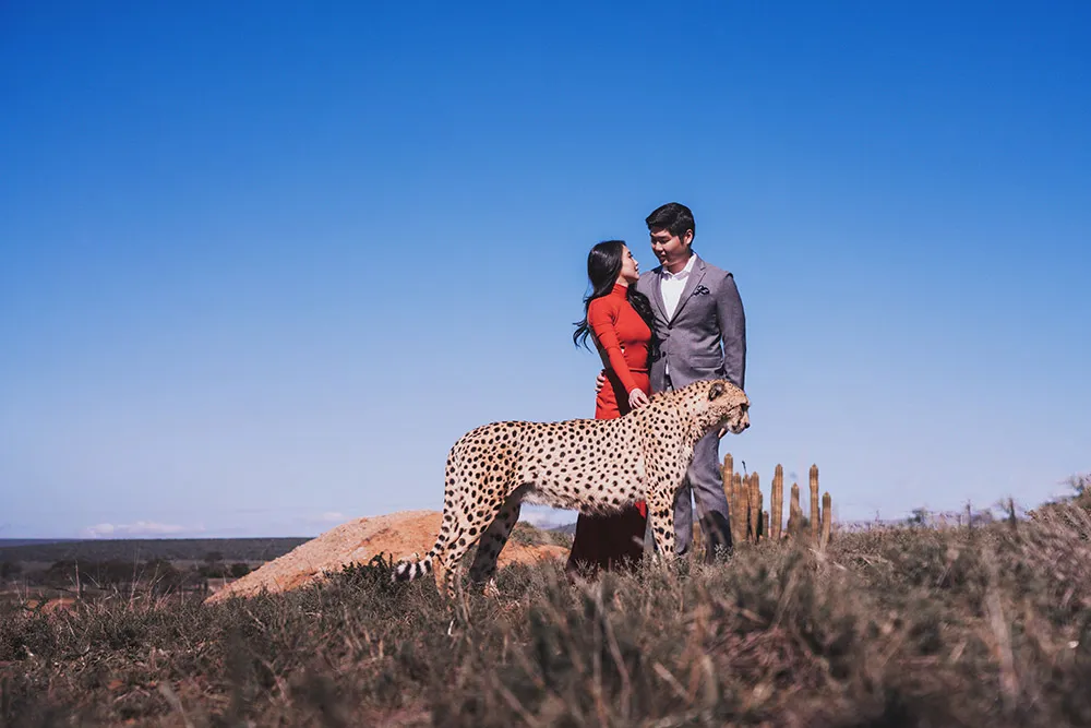 Photo by Metrophoto. theweddingnotebook.com