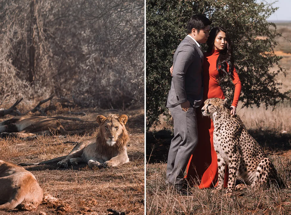 Photo by Metrophoto. theweddingnotebook.com