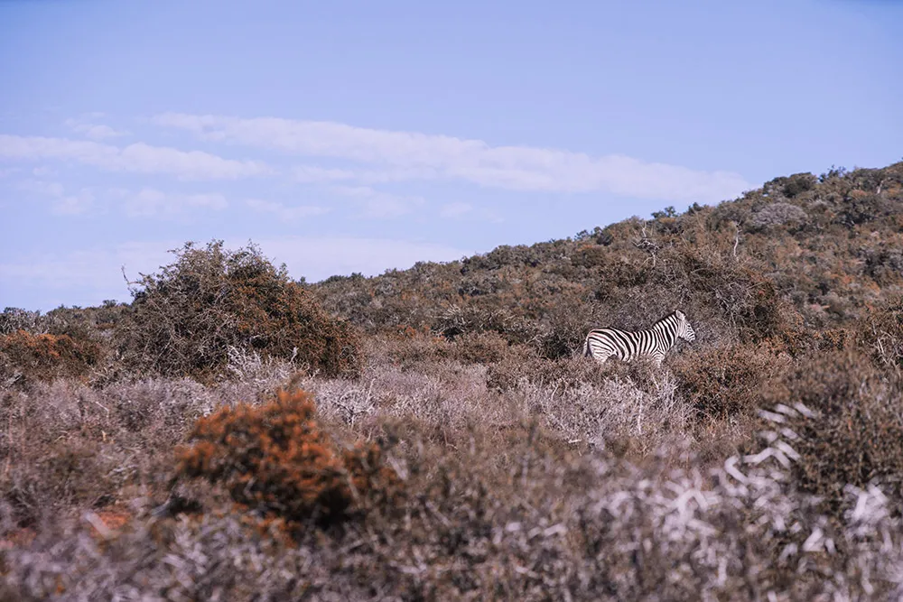 Photo by Metrophoto. theweddingnotebook.com
