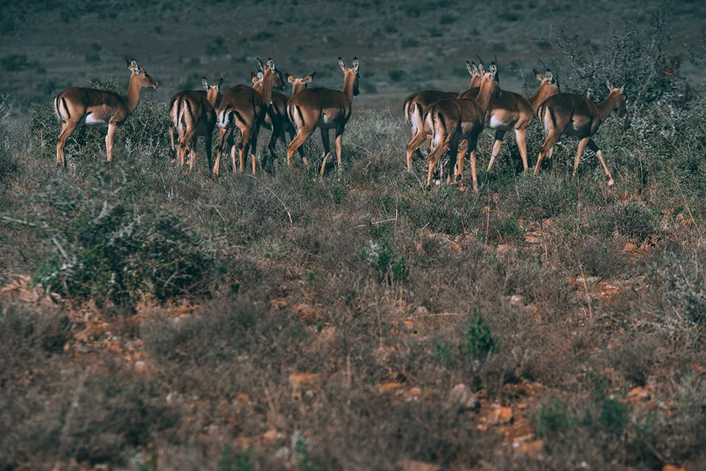 Photo by Metrophoto. theweddingnotebook.com
