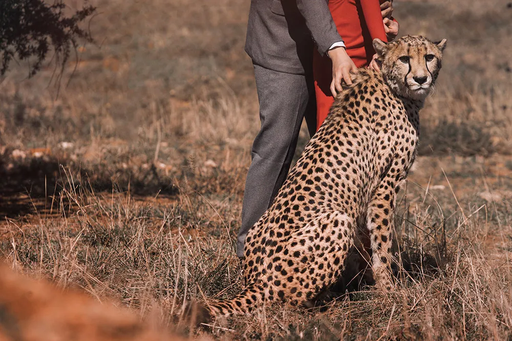 Photo by Metrophoto. theweddingnotebook.com