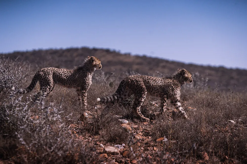 Photo by Metrophoto. theweddingnotebook.com