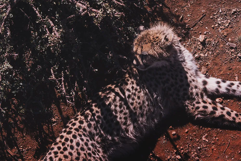 Photo by Metrophoto. theweddingnotebook.com