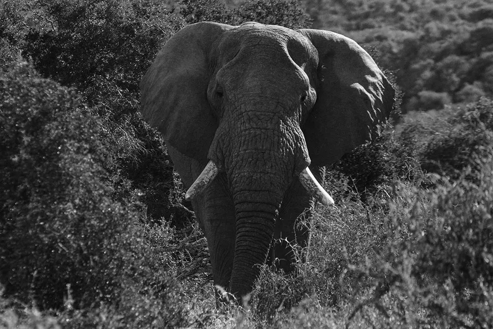 Photo by Metrophoto. theweddingnotebook.com