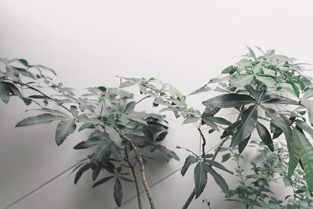 Jonlin Photography. theweddingnotebook.com