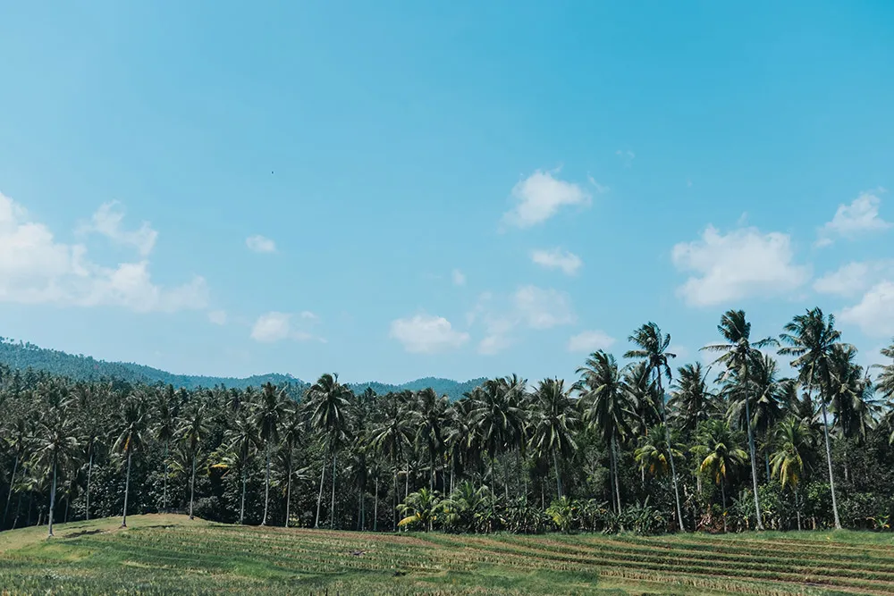 Photo by Terralogical. theweddingnotebook.com