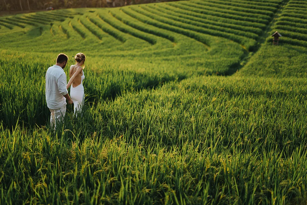 Photo by Terralogical. theweddingnotebook.com