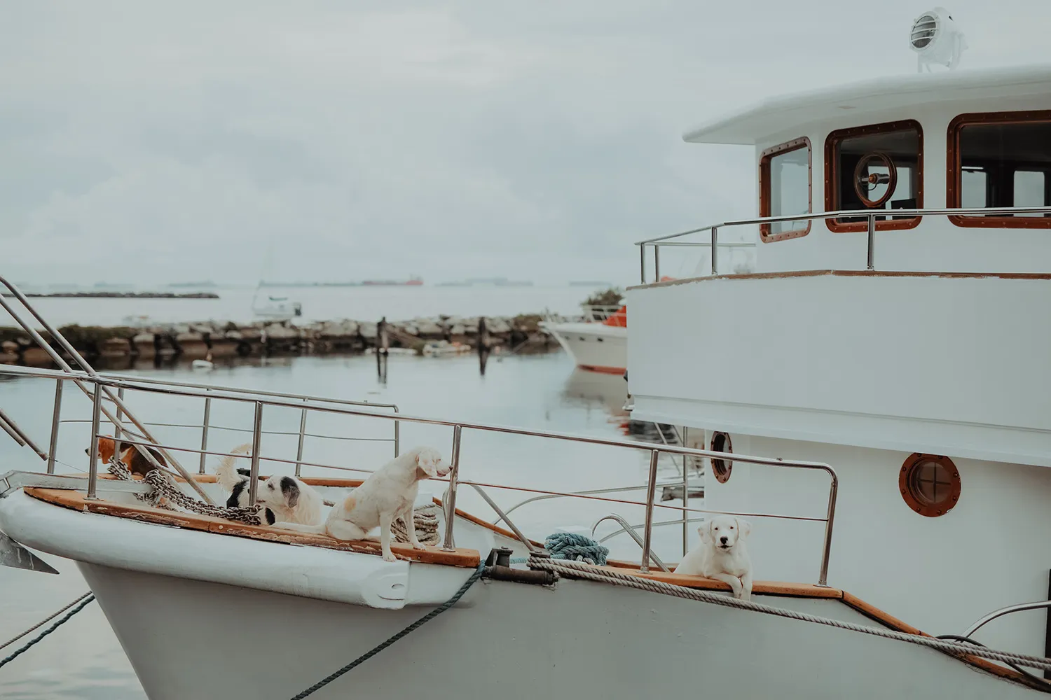 Photography by ProudRad. Yacht Wedding. theweddingnotebook.com