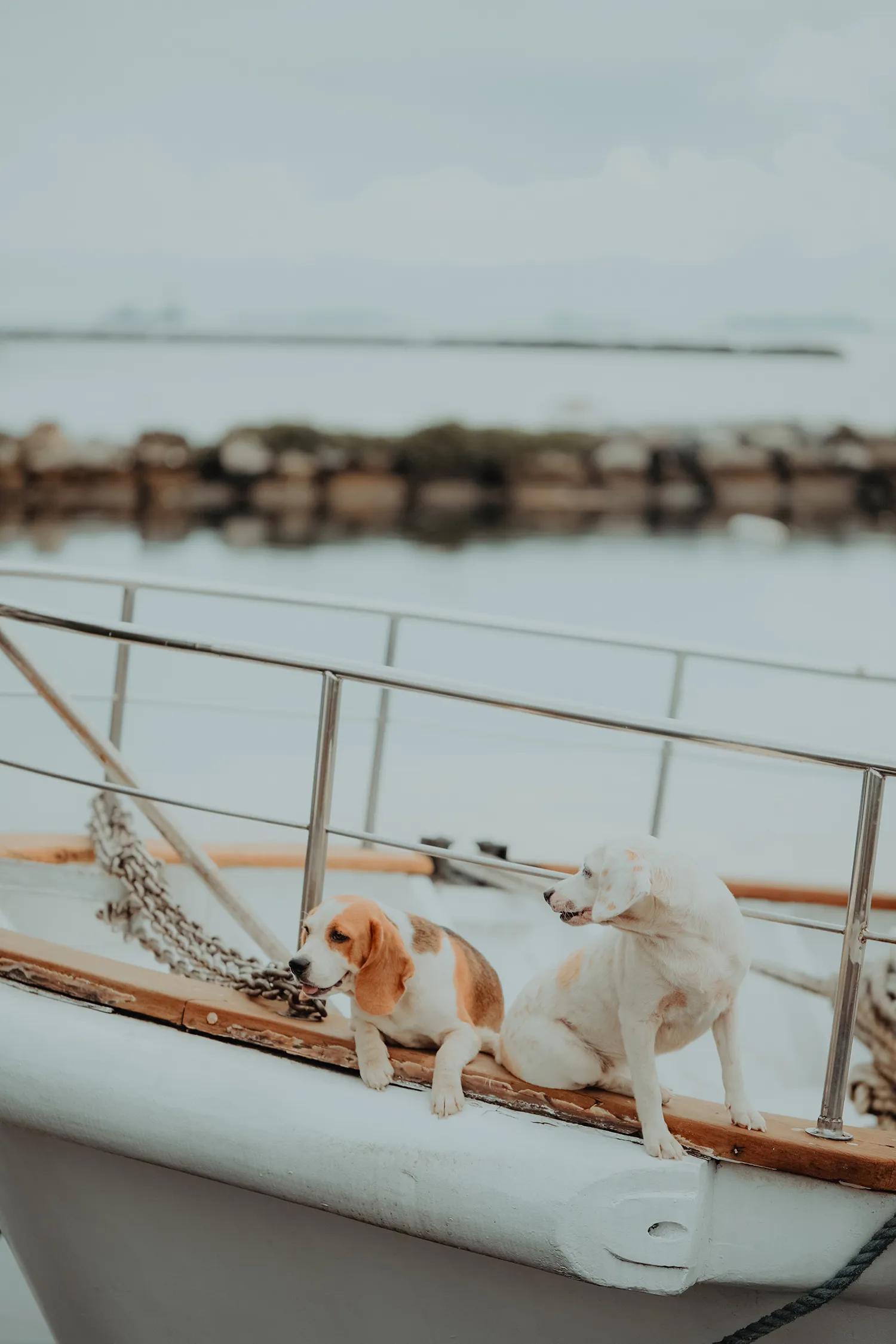 Photography by ProudRad. Yacht Wedding. theweddingnotebook.com