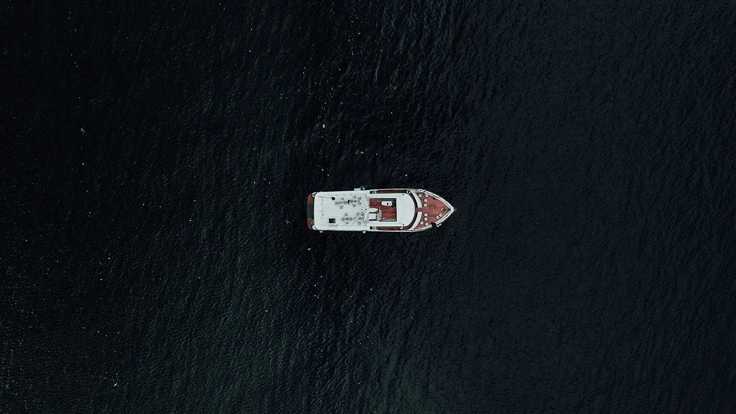 Photography by ProudRad. Yacht Wedding. theweddingnotebook.com